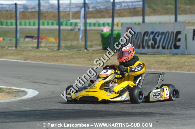 DSC_ (1543).JPG